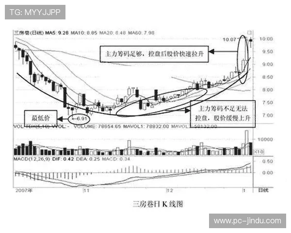 大庄家平台：最新行业动态与市场趋势分析，助您把握投资良机