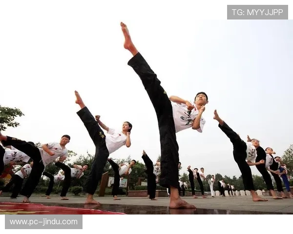 功夫娱乐网:带你领略传统武术与现代格斗的完美结合 功夫娱乐网:带你领略传统武术与现代格斗的完美结合